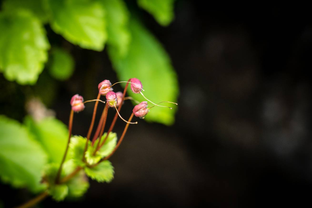 Photo by Oscar Manguy