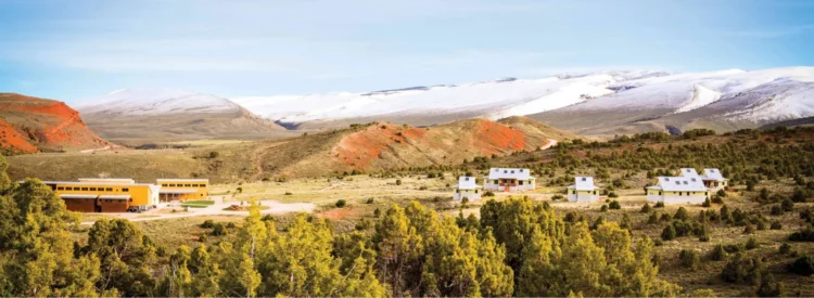 Photo by Andy Burdin