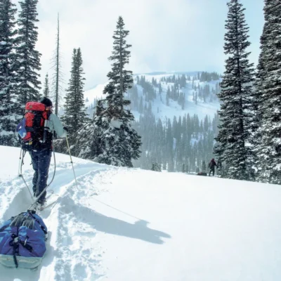 Students backcountry ski with gear sleds by tall snow laden trees while it snows in the Idaho backcountry.