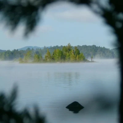 Photo taken through the trees of a wooded island on a lake.