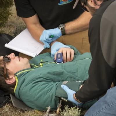 Credit: Jared Steinman