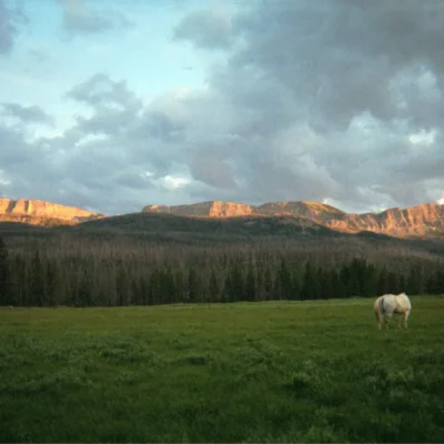 Horses grazing in a pasture, with a beautiful view of a Wyoming cliff band.