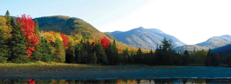 Photo by Lindsay Yost