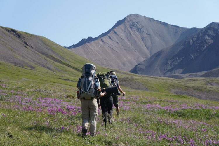 Photo by Mauricio Clauzet