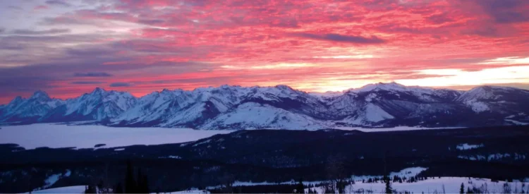 Photo by Nikole Wohlmacher