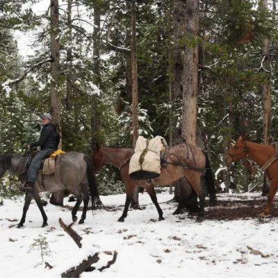 Student gleefully leading a pack of horses, at the Three Peaks Ranch.
