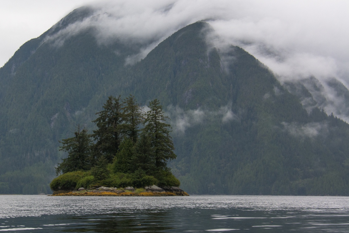 mist lies in the mountains and over small island with thick vegetation, surrounded by calm dark water