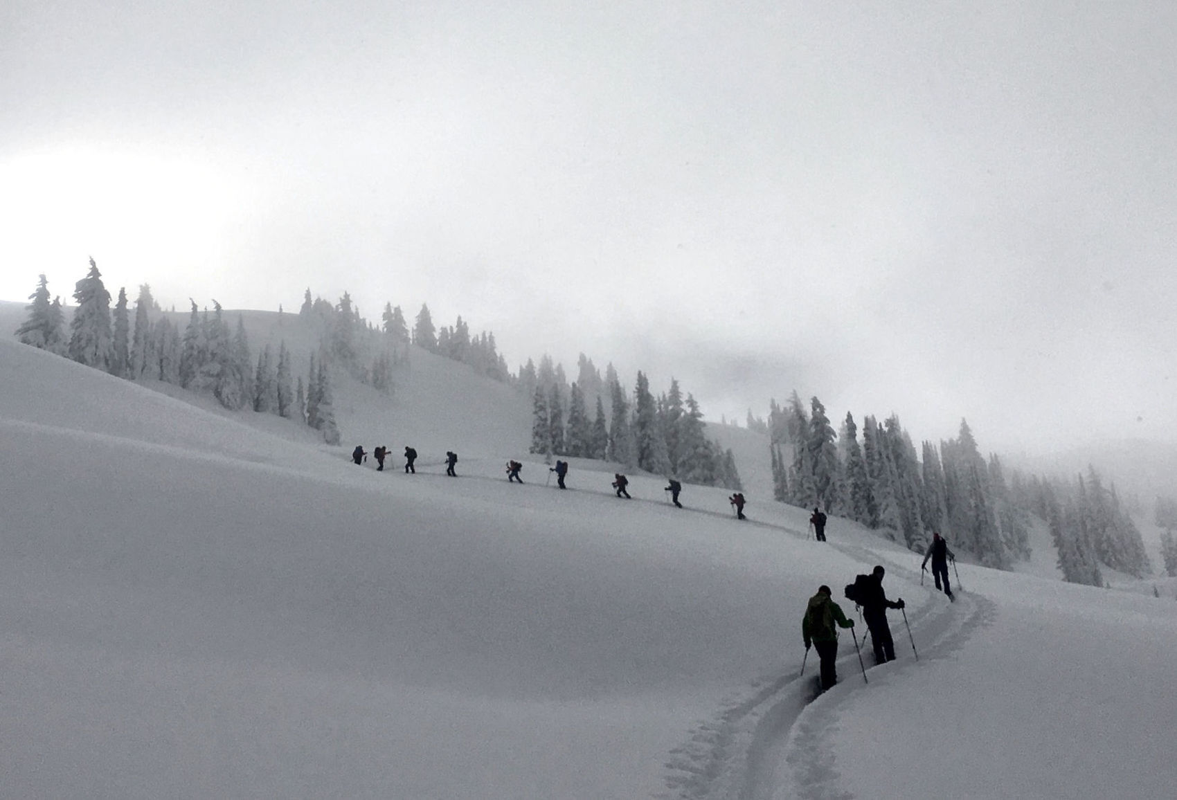 Guided backcountry ski group heading uphill in the Selkirk Mountains of British Columbia Guided backcountry ski group heading uphill in the Selkirk Mountains of British Columbia