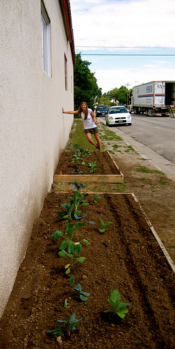 3685482106_4b42c60c74