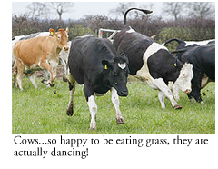 6a00d83451b4f069e2011571916