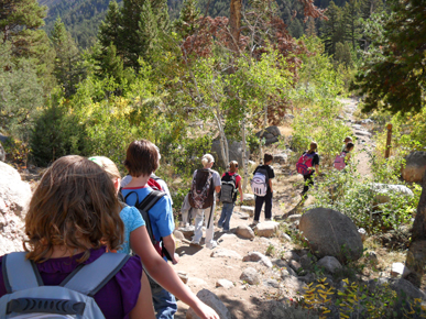 6a00d83451b4f069e20133f48e5162970b-pi