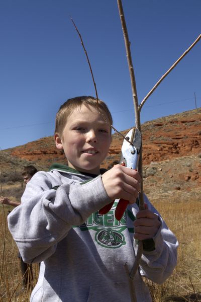 6a00d83451b4f069e20168e9a6d76e970c-pi