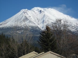 Photo by Shana Tarter