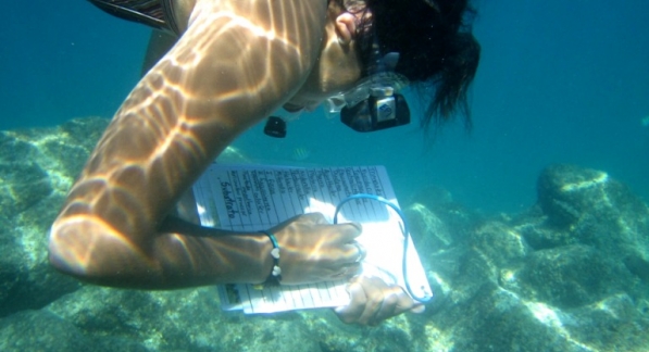 6a00d83451b4f069e201a3fd3b5da7970b