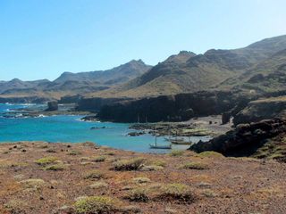 923098_254447314732241_1367822872_n