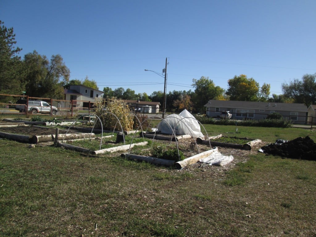 RM Interns Organize Community Garden Cleanup