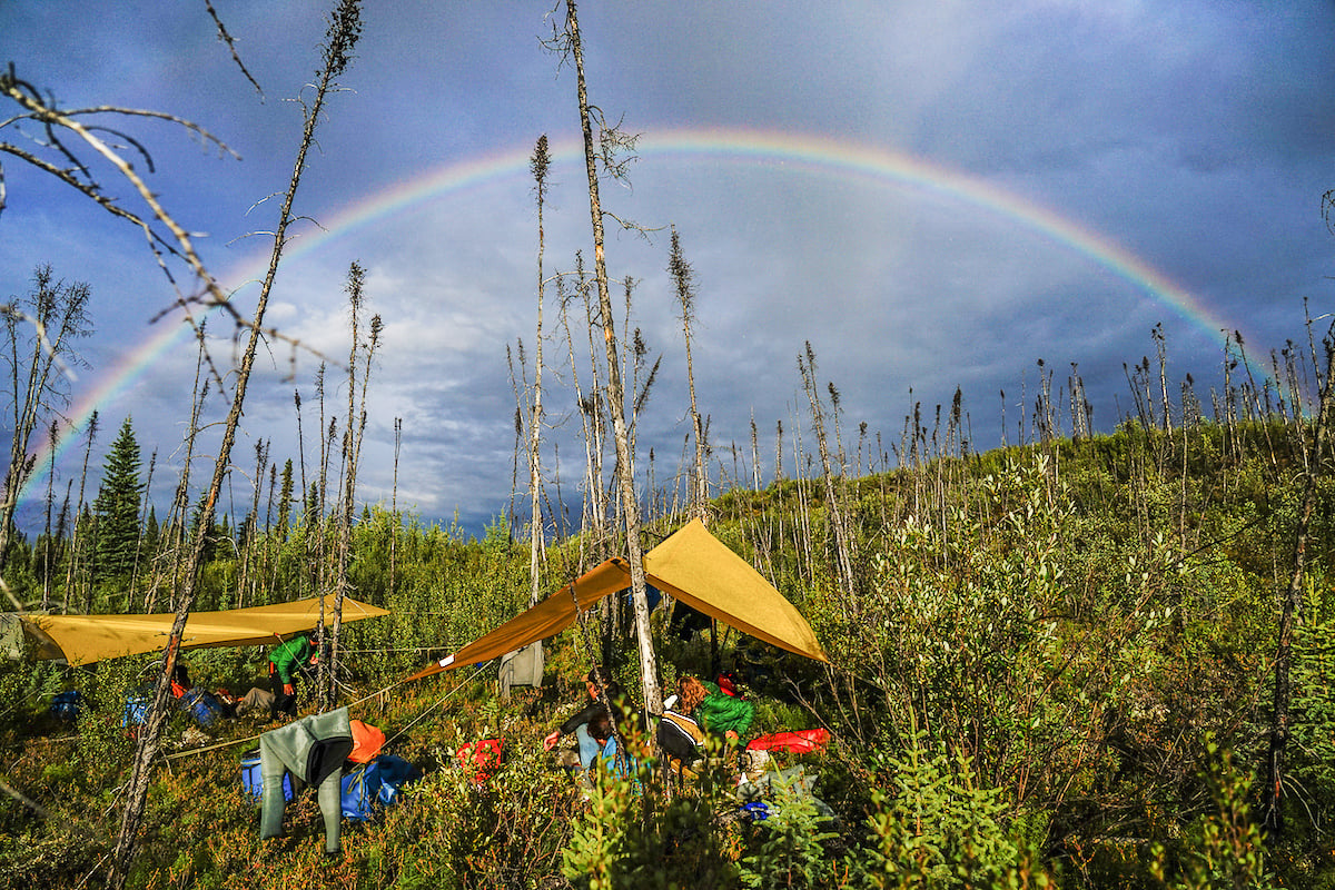 Start Dreaming: Summer 2020 Expeditions Now Online