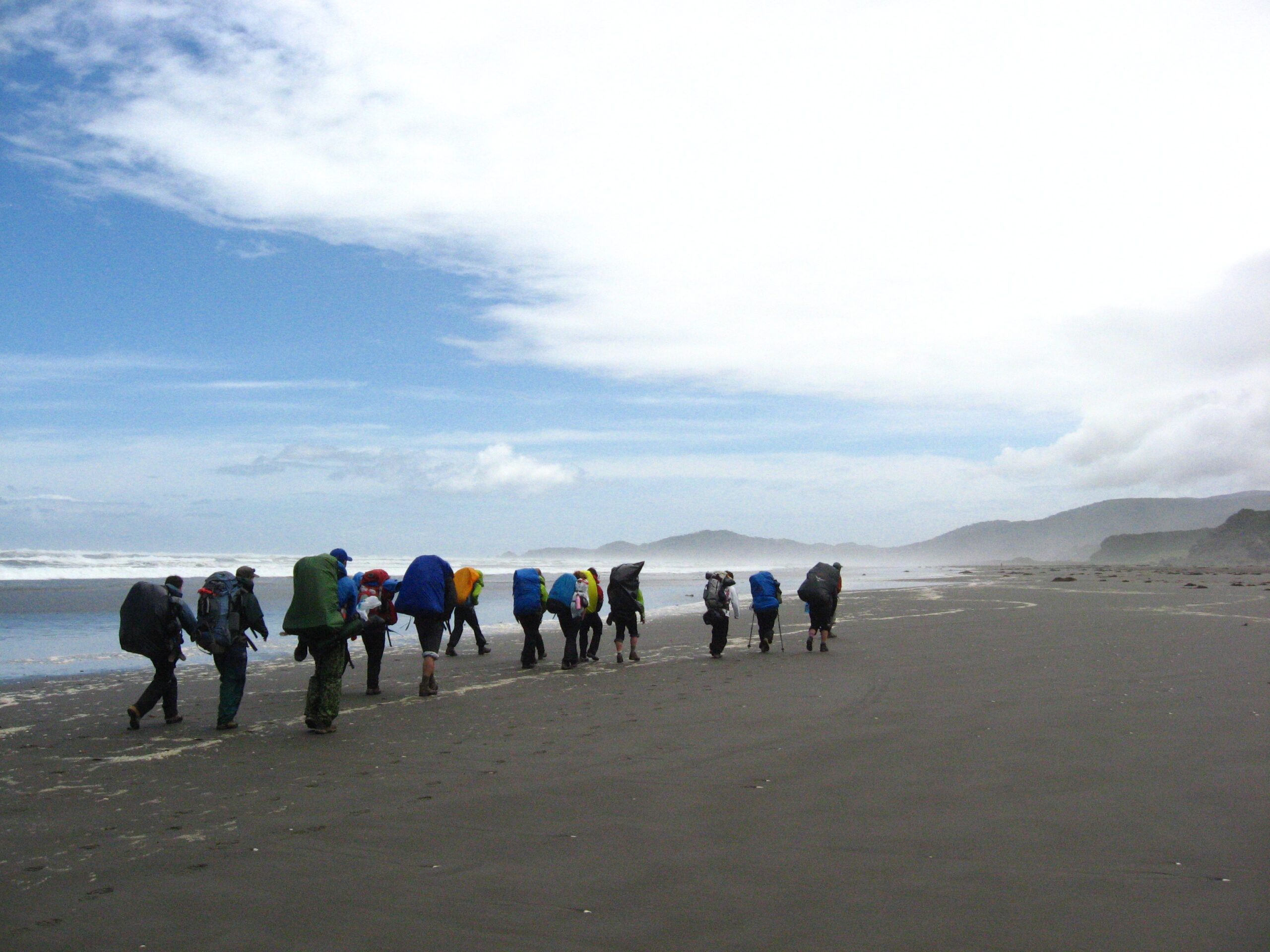 Wildlands Studies & WRMC