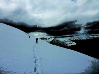 Connor Nolan Photo-125409-edited.jpg