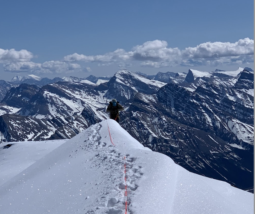 Fairweather, Sims 2B