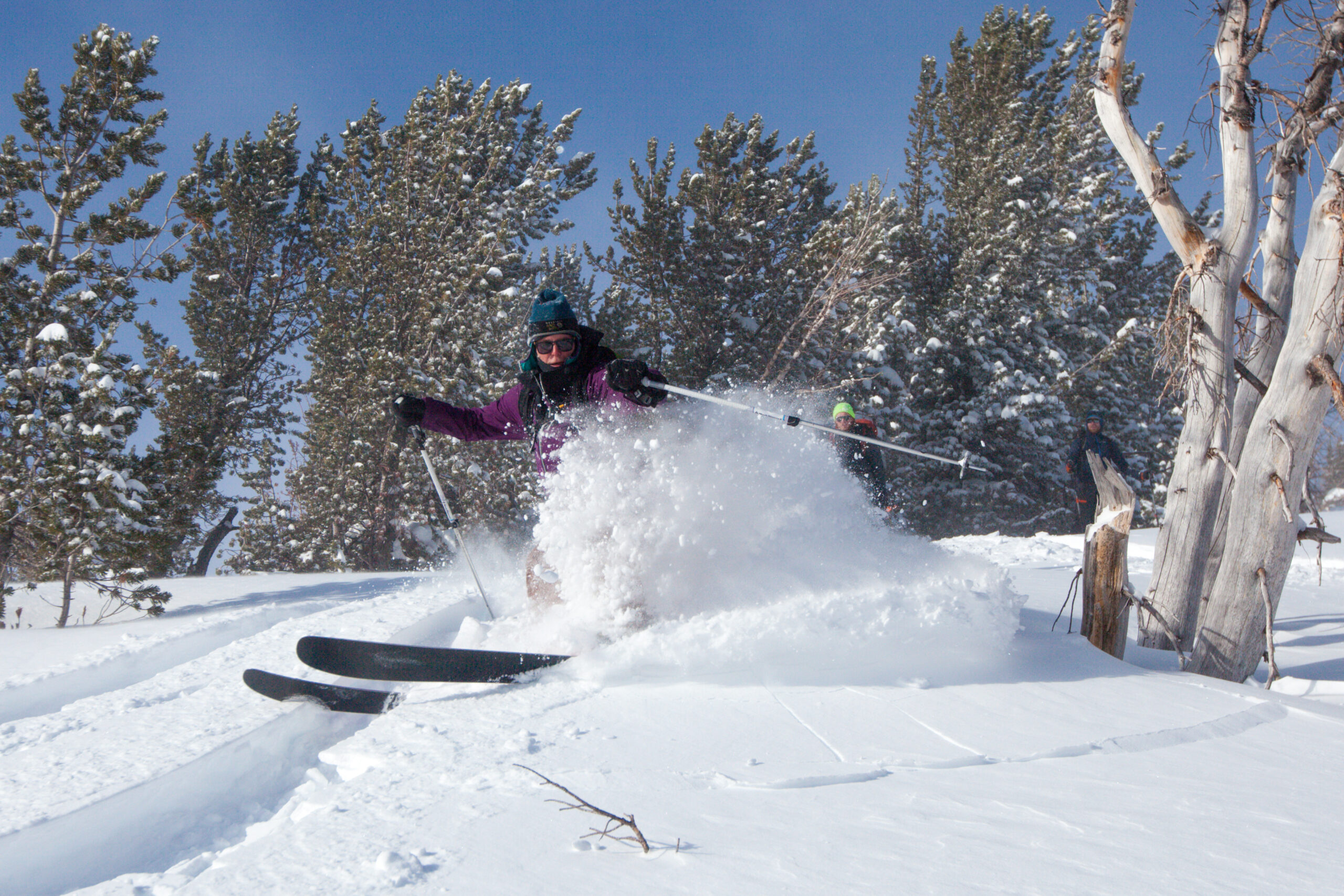 A skier turns in deeep powder, sending a spray of snow into the air around them