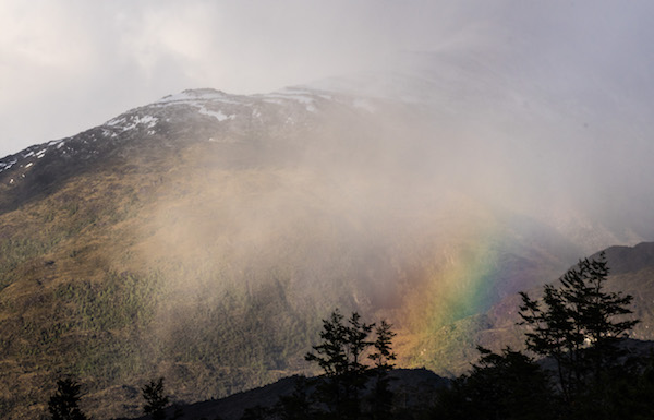 peak in Patagonia shrouded by clouds with rainbow and silhouetted trees