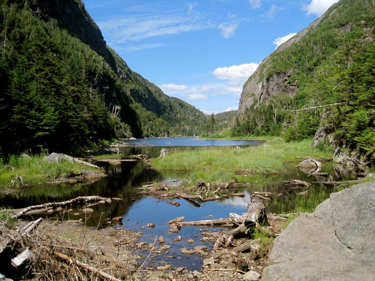 Embracing Wilderness