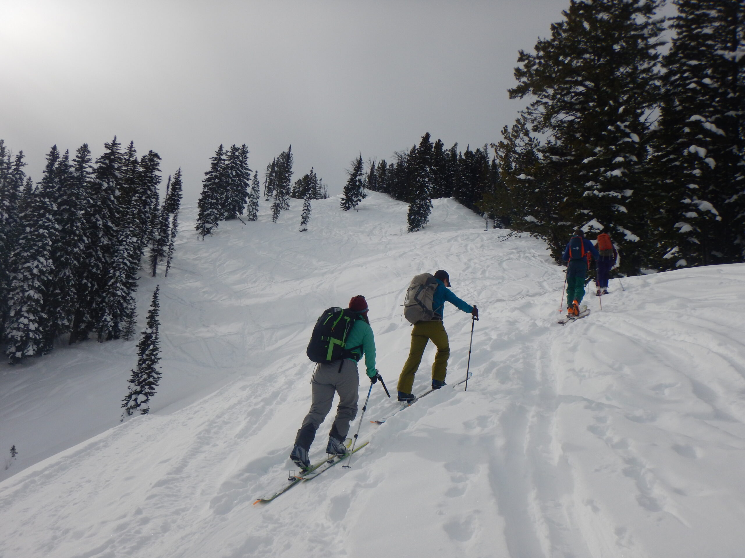 William_Jahncke_AVR-1