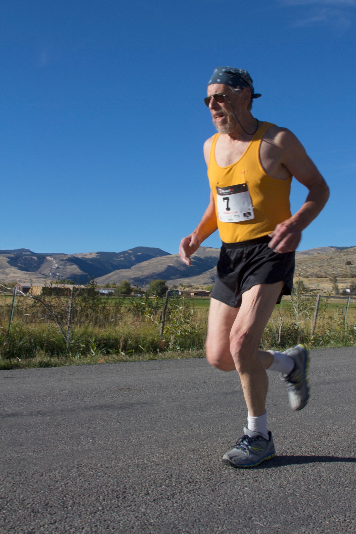 Zimmo, the oldest and farthest-traveled ambler