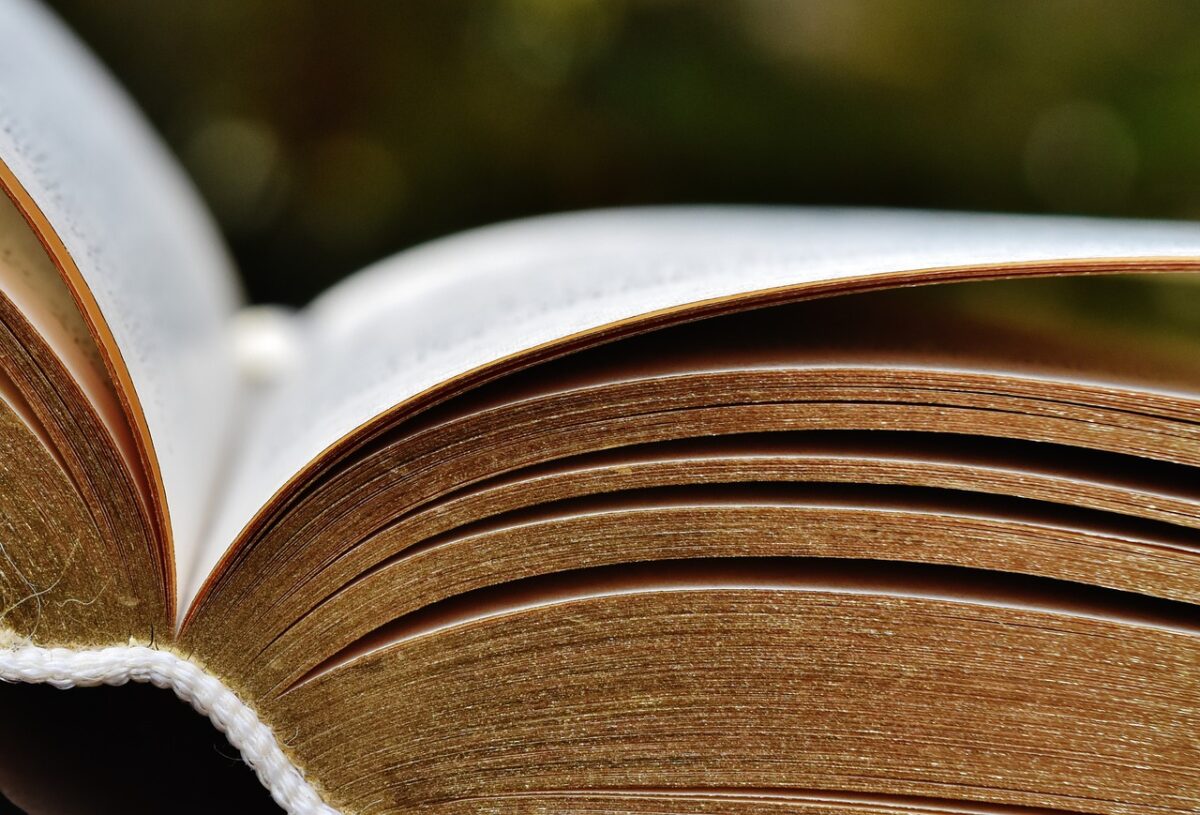 Our 10 Favorite Books about Leadership by Women