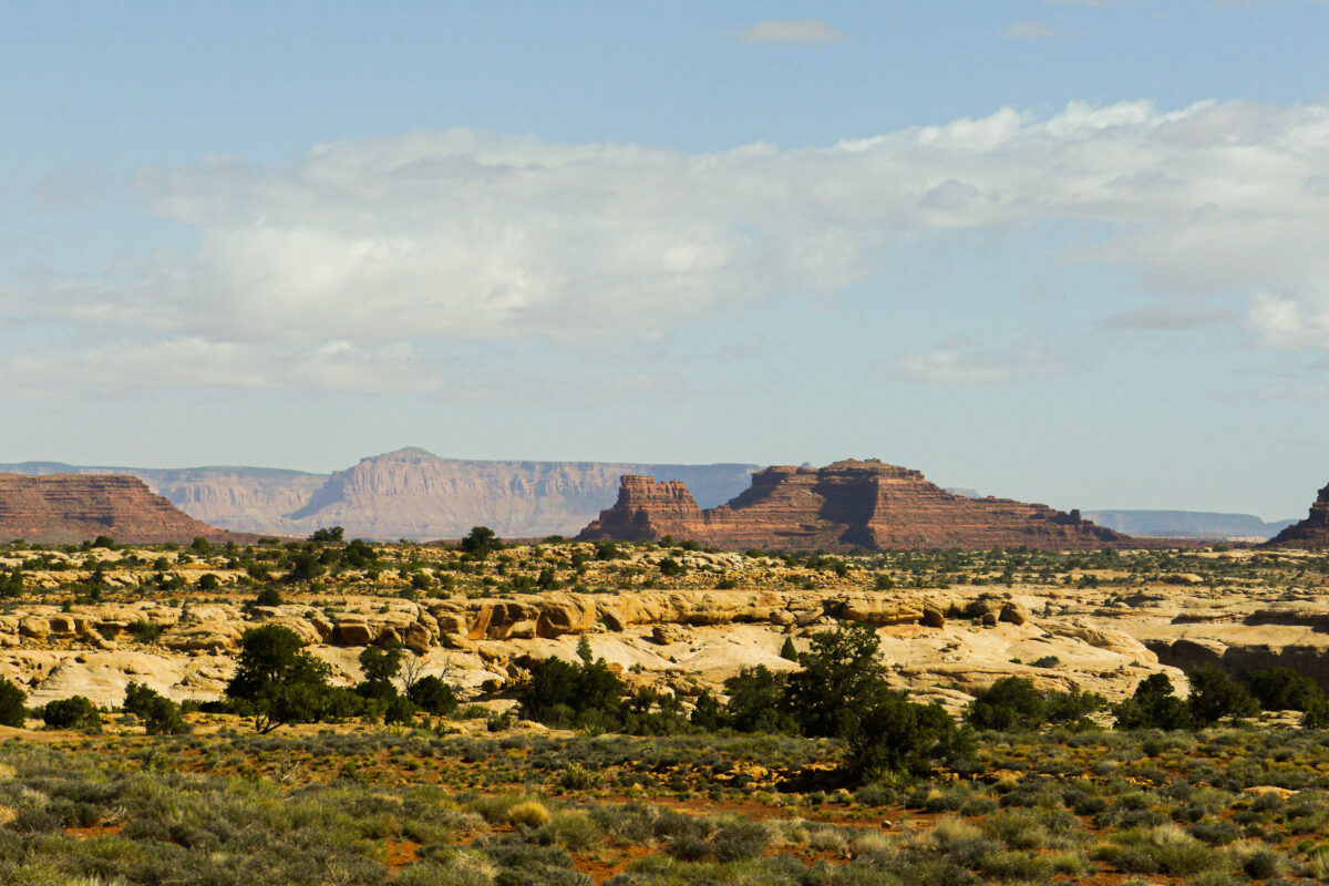 LGBTQ+ Canyonlands Backpacking – Adult