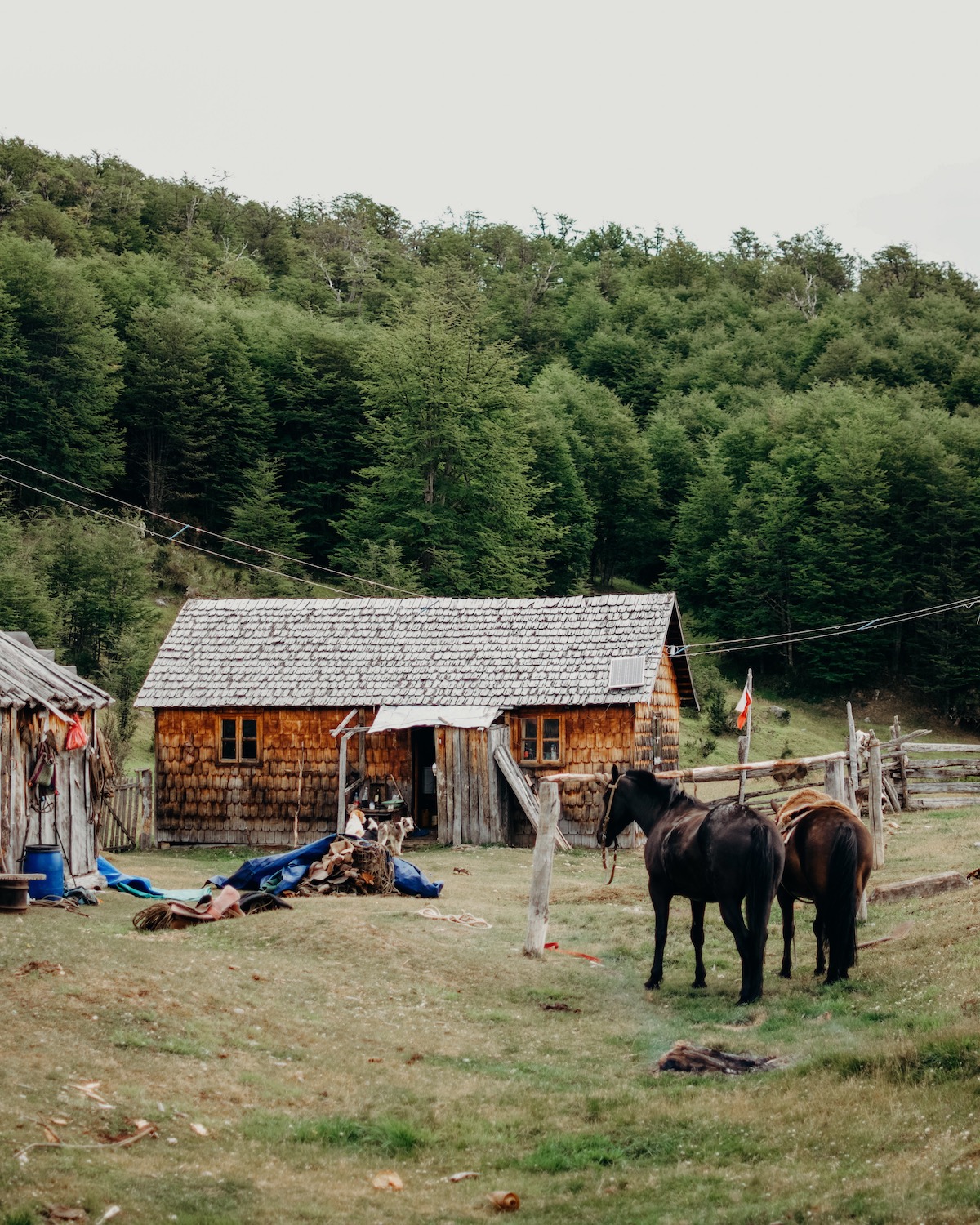 The gauchos horses rest after a long day’s work. In the background is the house, with the solar panel and radio lines visible, as well as a Chilean flag.