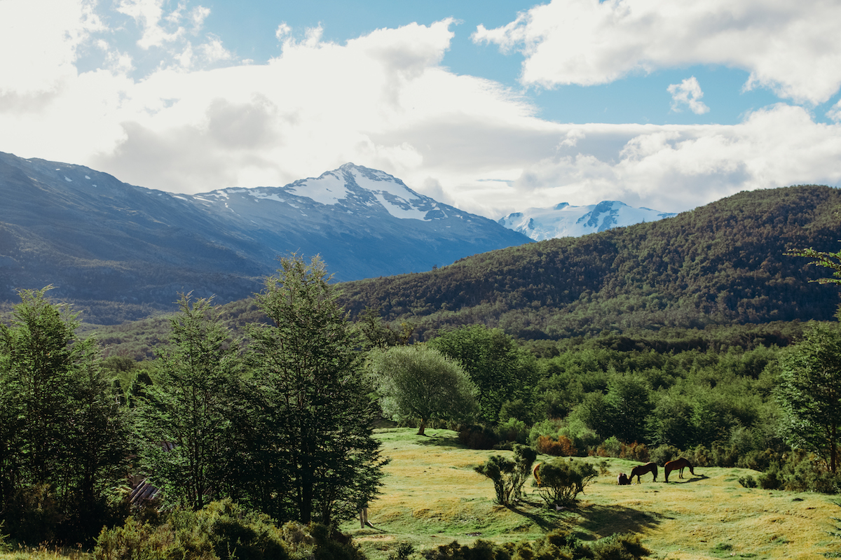 The cabin’s view of grazing horses beneath snow-capped peaks.