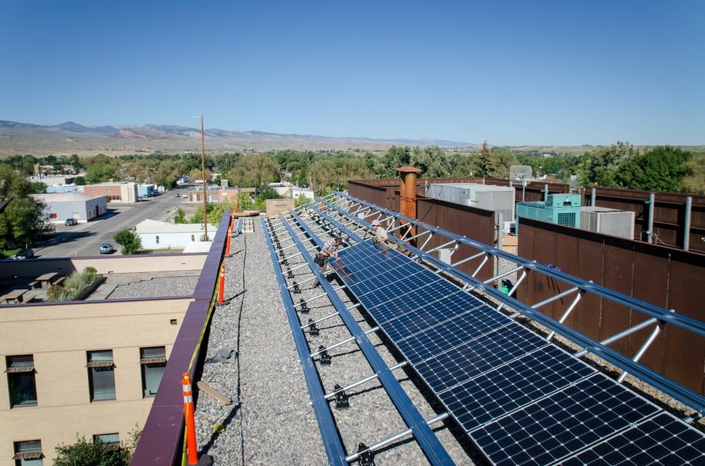 Team 2020: Leaders in Sustainability