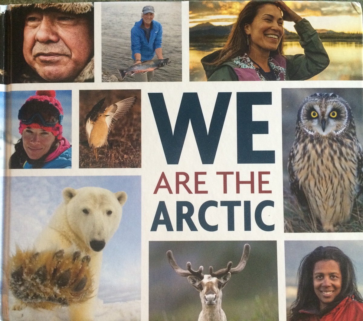 We Are the Arctic