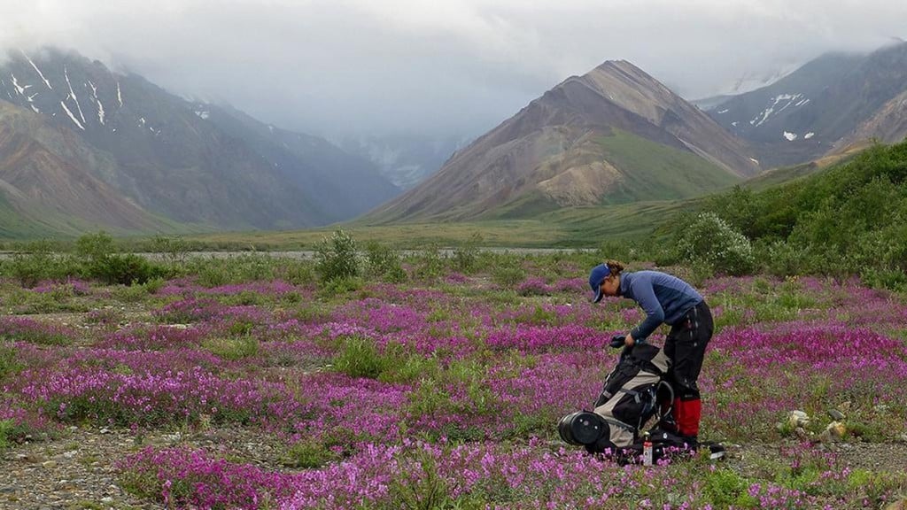 The Backpack: Home Away from Home