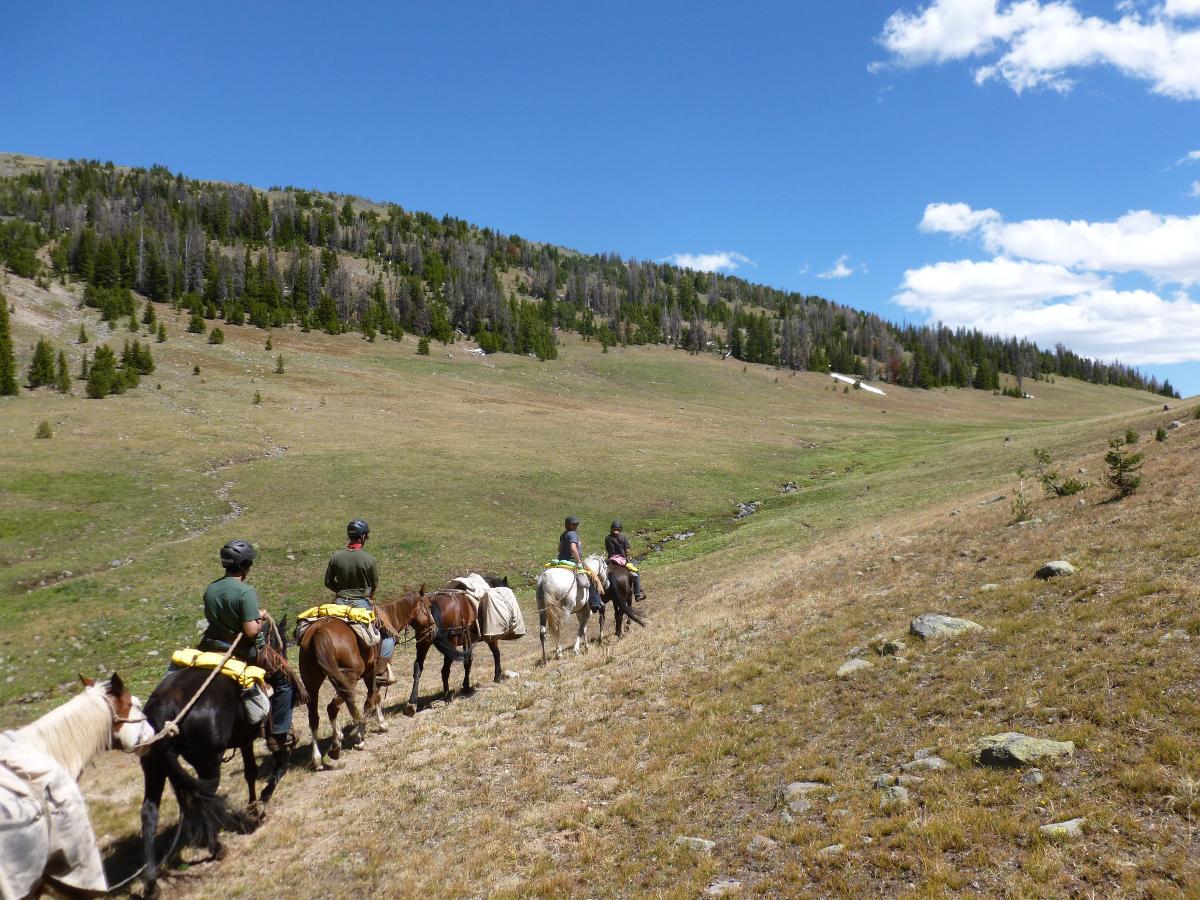 kelsey-wicks-horsepack-group-rm-1024x768