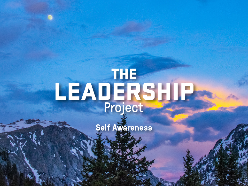 The Leadership Project: Self Awareness