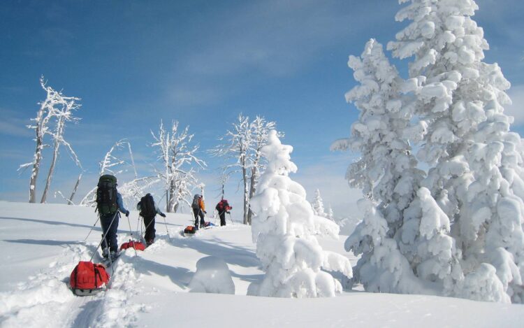 Four winter participants pull gear sleds uphill past snow-laden trees on a sunny day in Teton Valley.