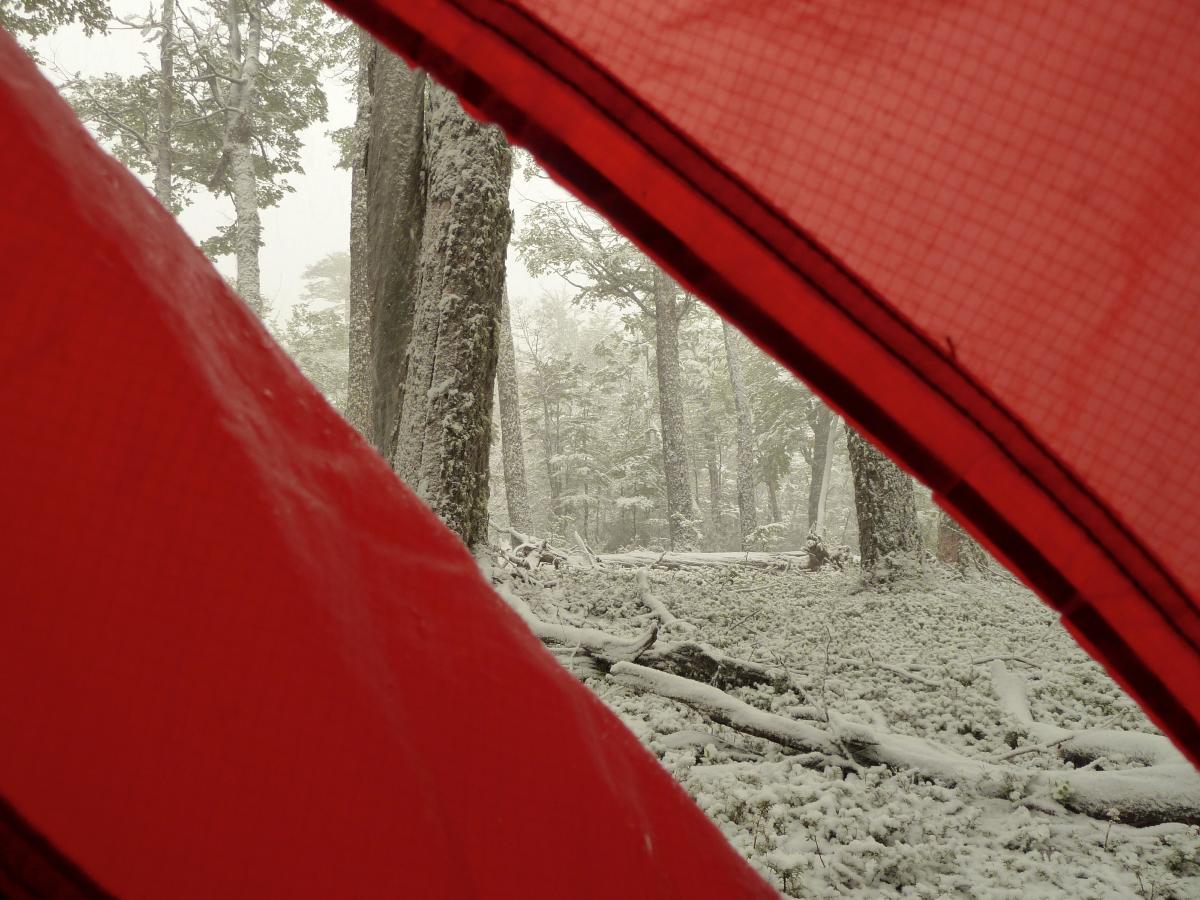 looking out at morning snow in the trees through a tent flap
