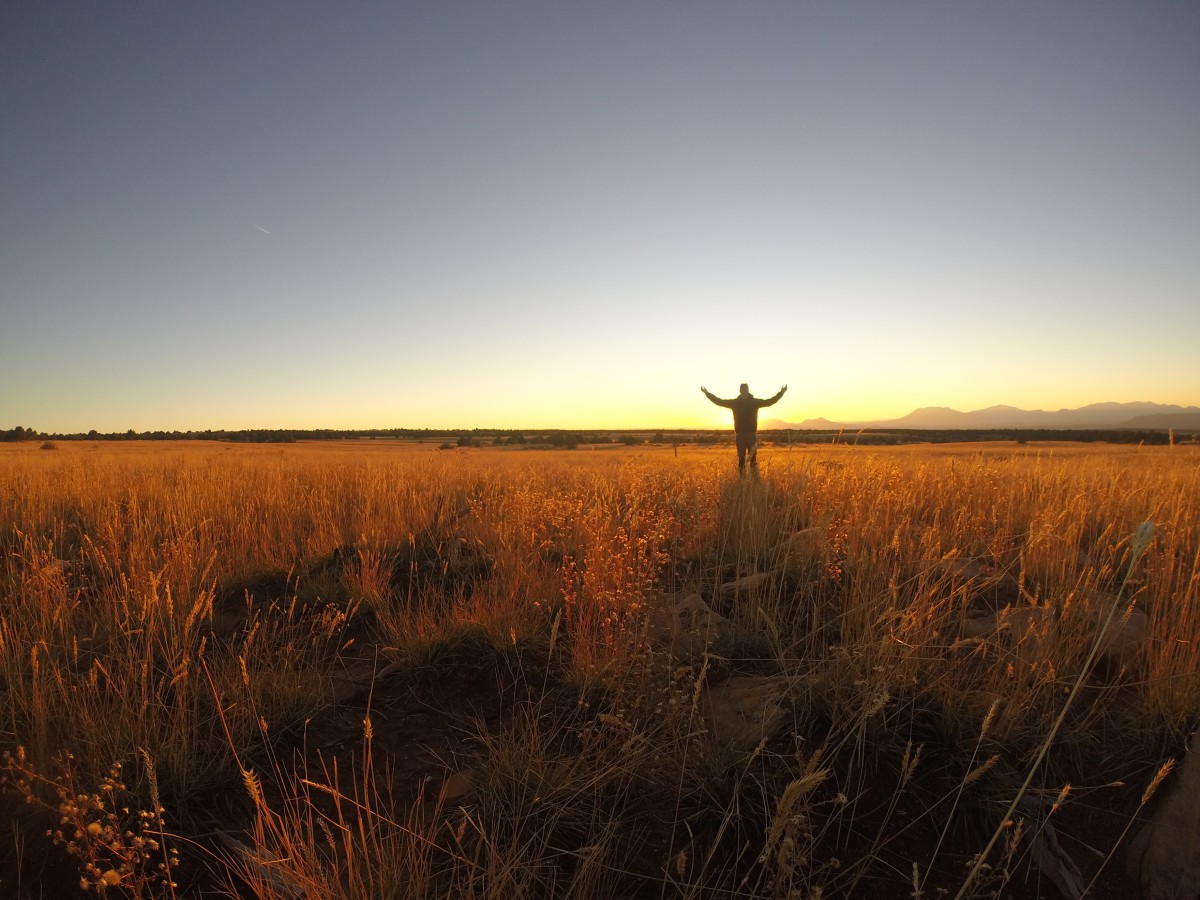 Celebrating the Earth