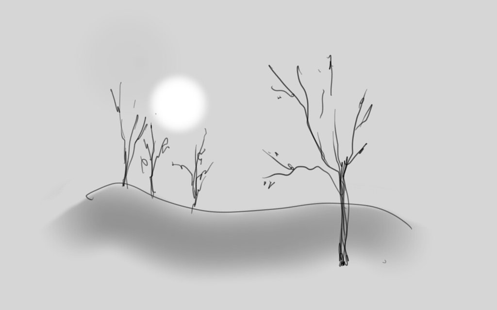 Nature Sketch
