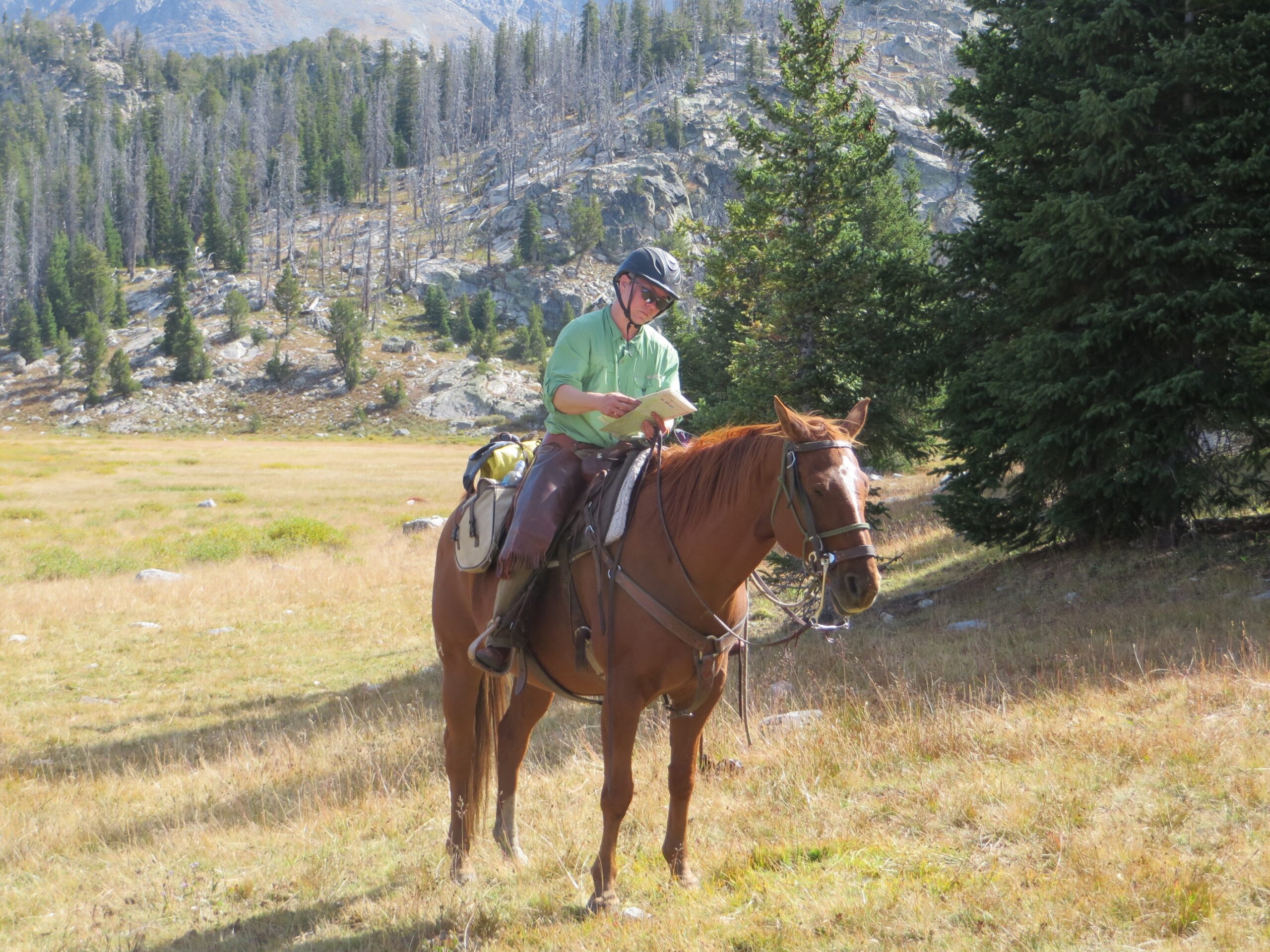 Reading a map while on a horse