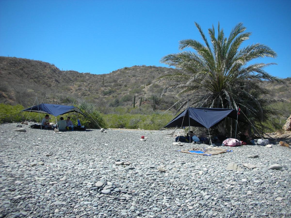 Enjoying shade in Baja
