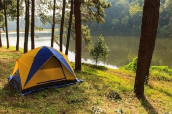 Tent in the woods Credit: PK.pawaris | Shutterstock.com