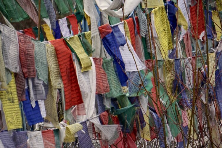 Backpacking Nepal’s Manaslu Circuit – Alumni