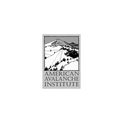 American Avalanche Institute