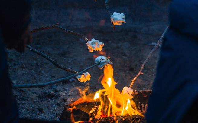 Students cook marshmallows around the campfire at night.
