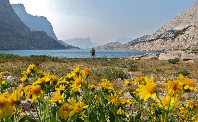 A student stops while backpacking at a lake ringed with blooming wildflowers and rocky peaks.