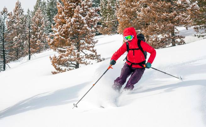 An instructor psarying up snow in while skiing past trees in Idaho's backcountry.